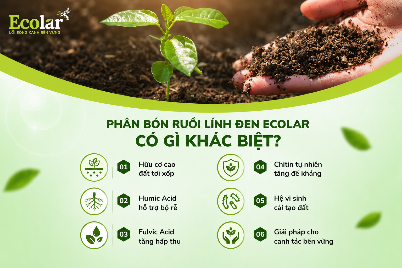 Phân bón ruồi lính đen Ecolar có gì khác biệt?