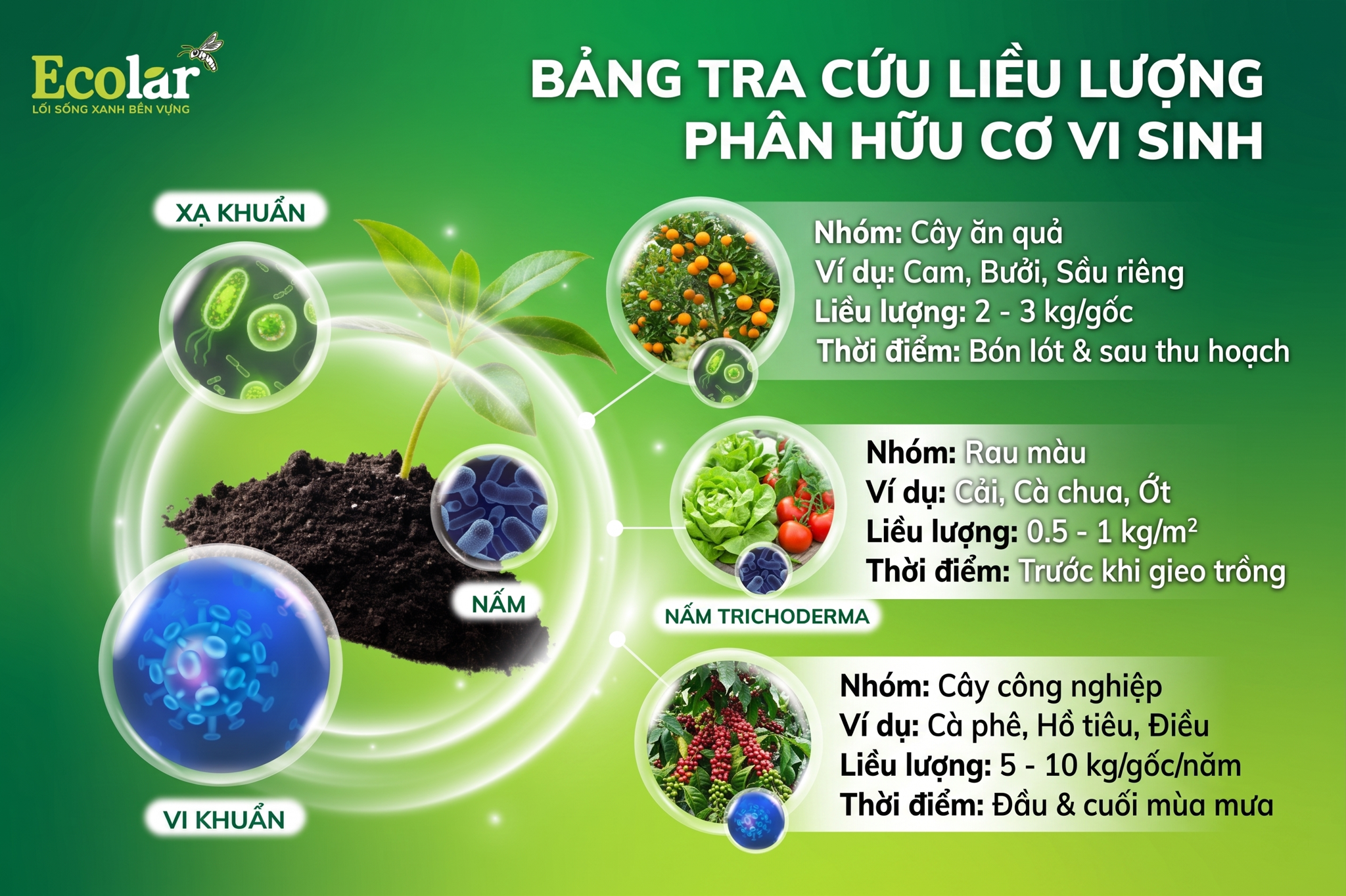Bảng Tra Cứu Liều Lượng Phân Hữu Cơ Vi Sinh Cho Các Nhóm Cây Trồng Phổ Biến