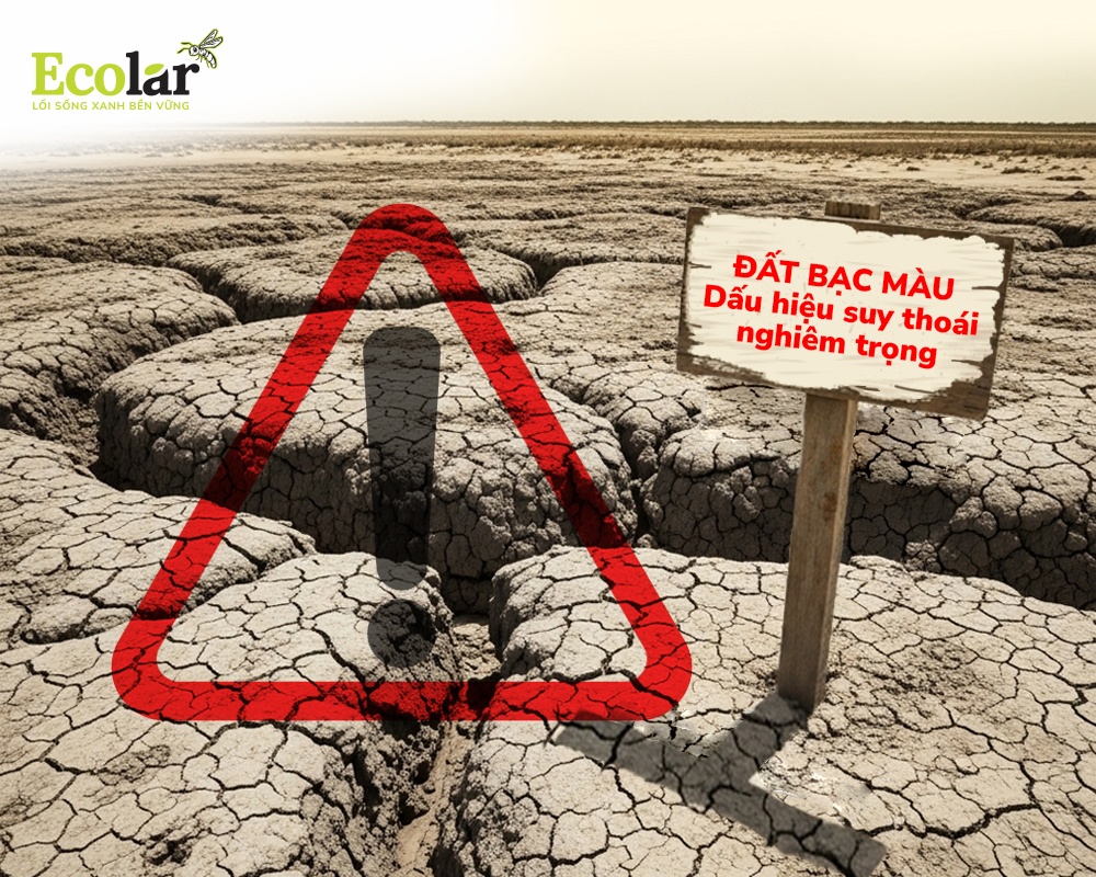 Dat-bac-mau-dau-hieu-suy-thoai-am-tham-nhung-nghiem-trong