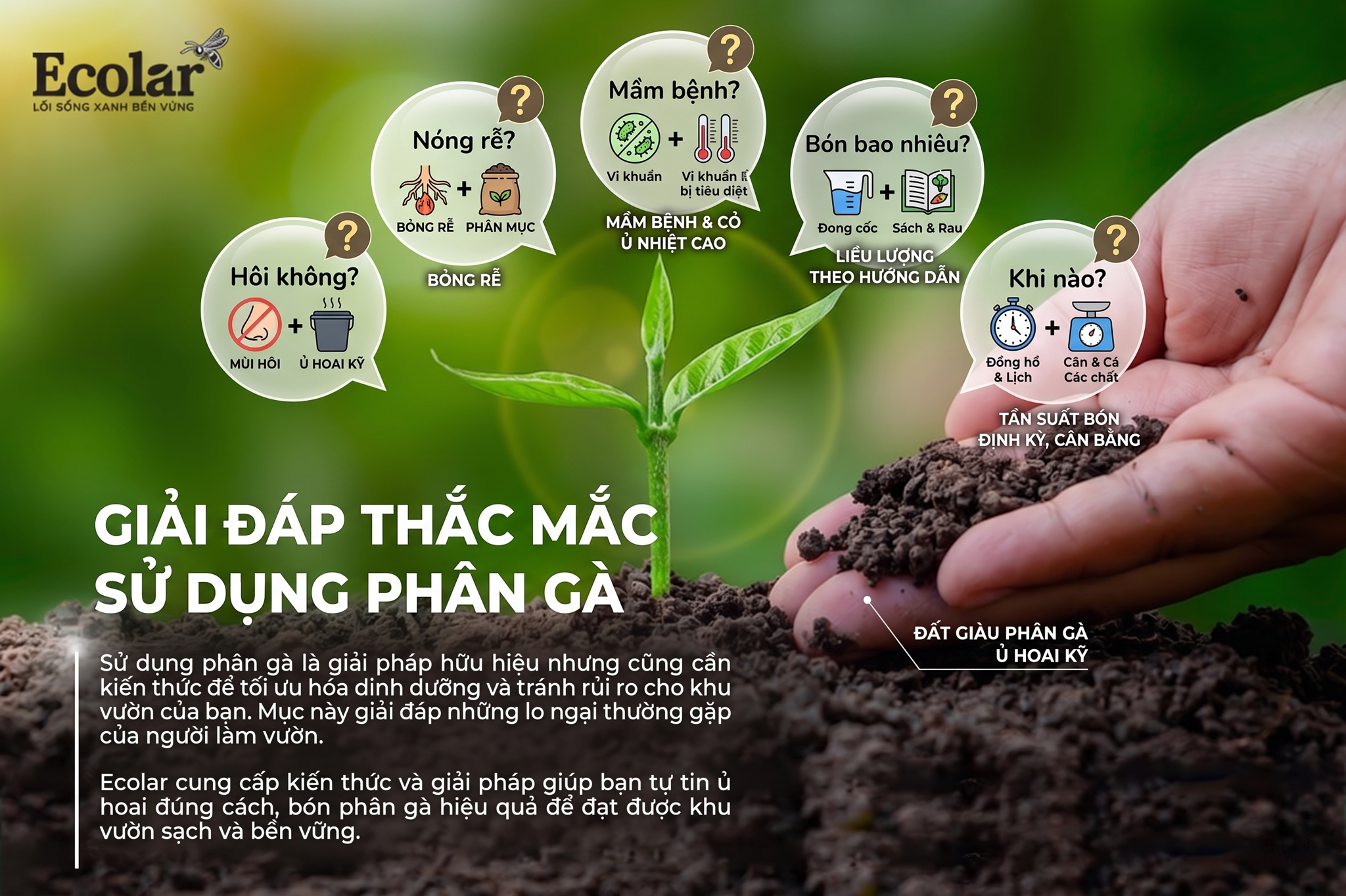 Giải Đáp Các Thắc Mắc Thường Gặp Khi Dùng Phân Gà