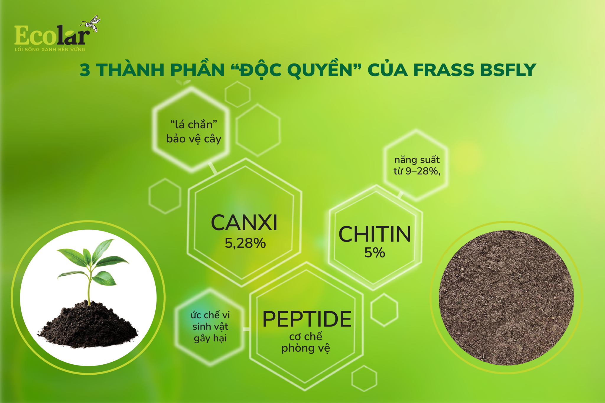 3 thành phần độc quyền của frass