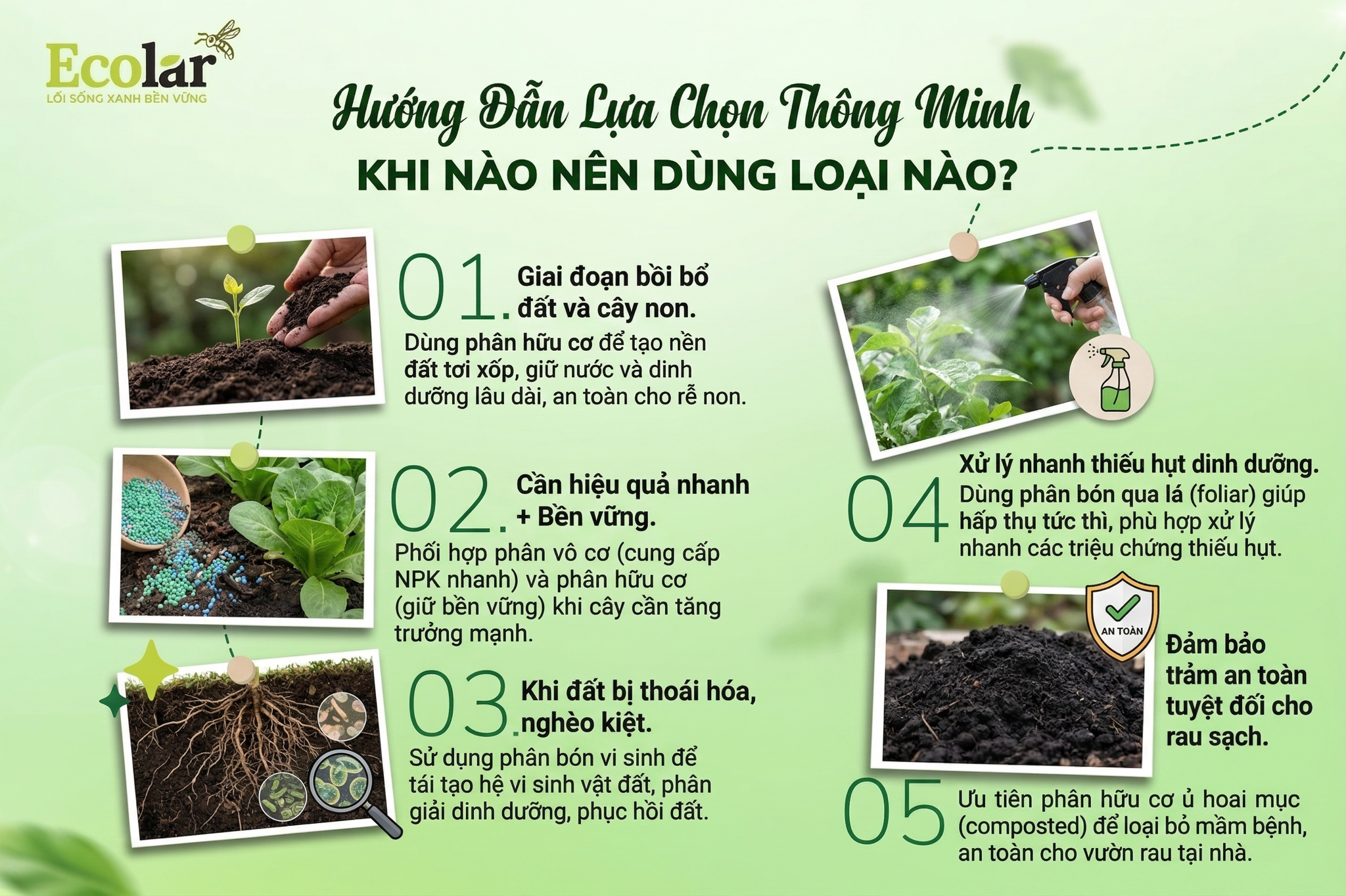 Khi Nào Nên Dùng Loại Nào?