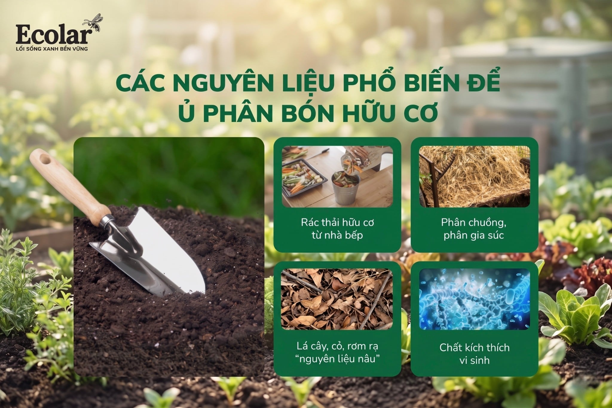 Chọn Đúng Loại Phân Hữu Cơ: 'Thực Đơn' Nào Phù Hợp Với Cây Của Bạn?