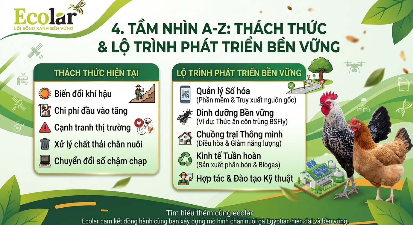 Các Thách Thức và Lộ Trình Phát Triển Bền Vững