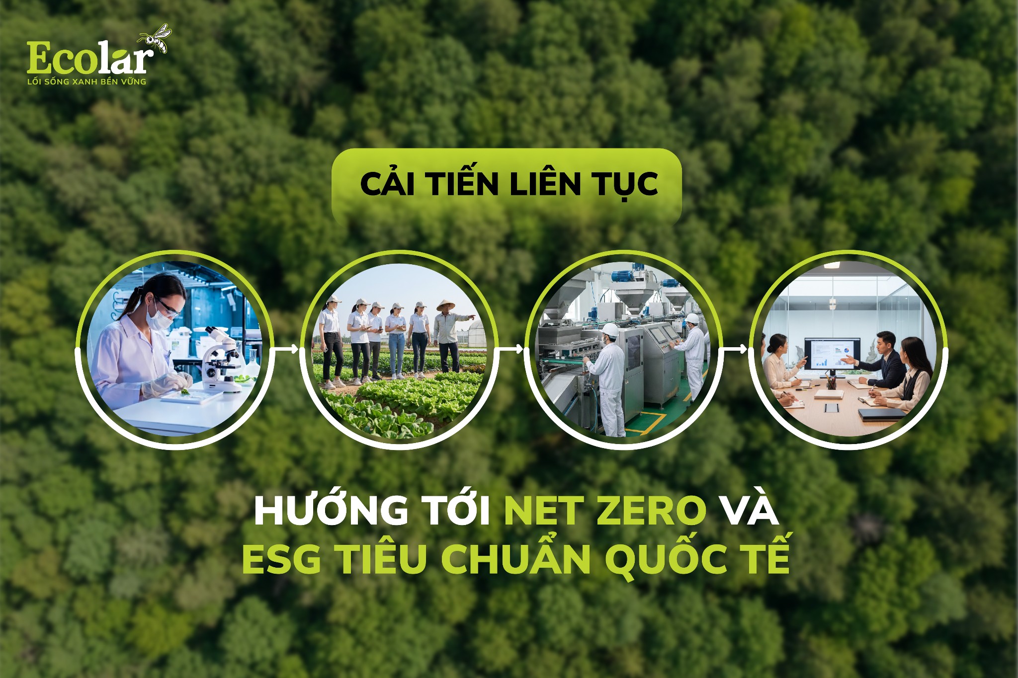 Hướng tới Net Zero và ESG chuẩn quốc tế