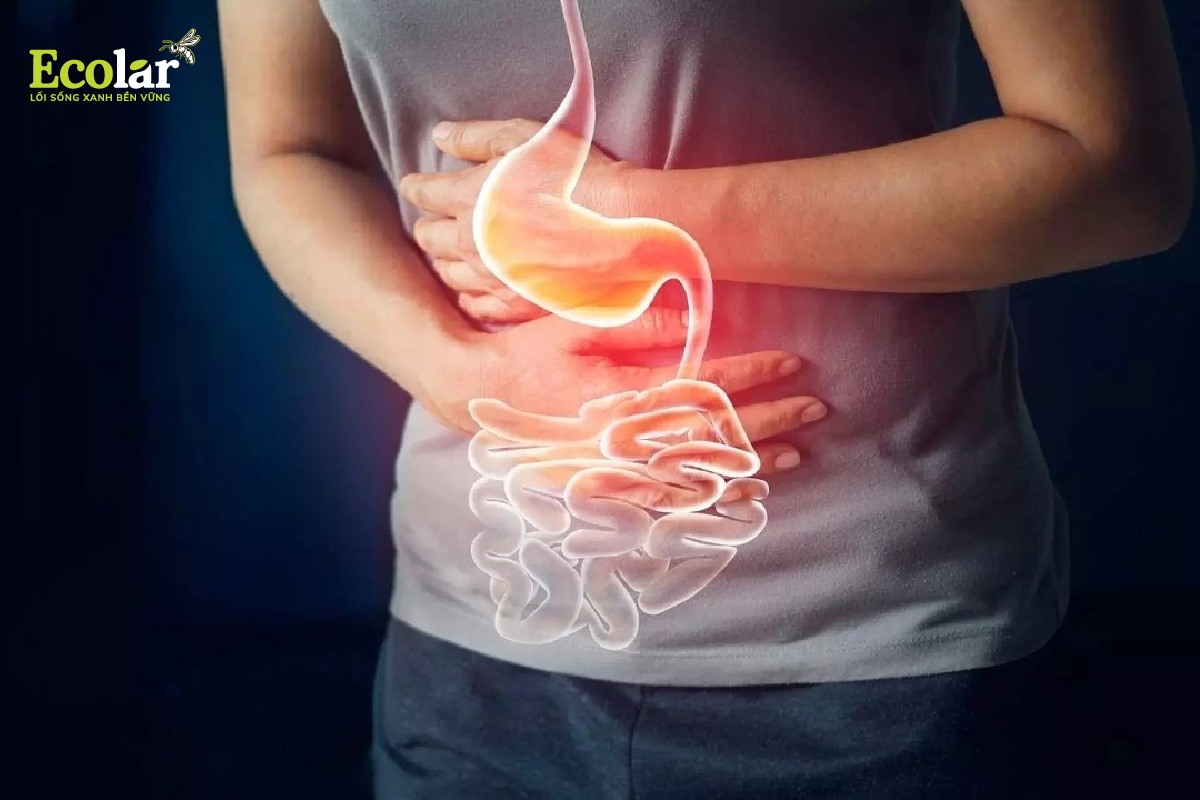 Tác động của tồn dư nitrat tới sức khỏe con người