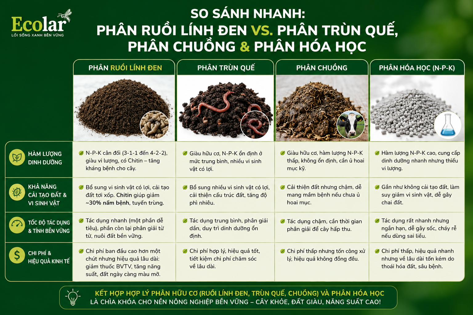 Đặt Lên Bàn Cân: Phân Ruồi Lính Đen vs. Phân Trùn Quế, Phân Chuồng & Phân Hóa Học