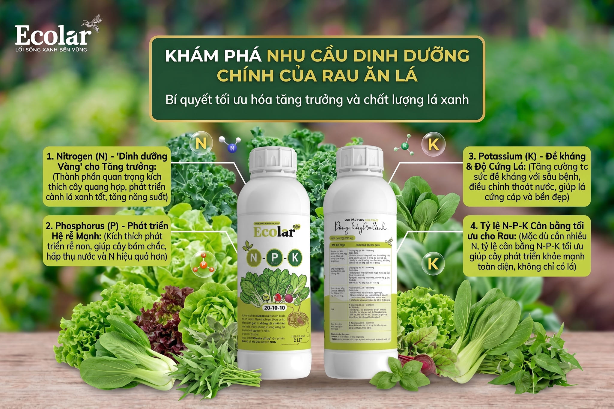 tập trung vào Nitrogen và tỉ lệ cân bằng