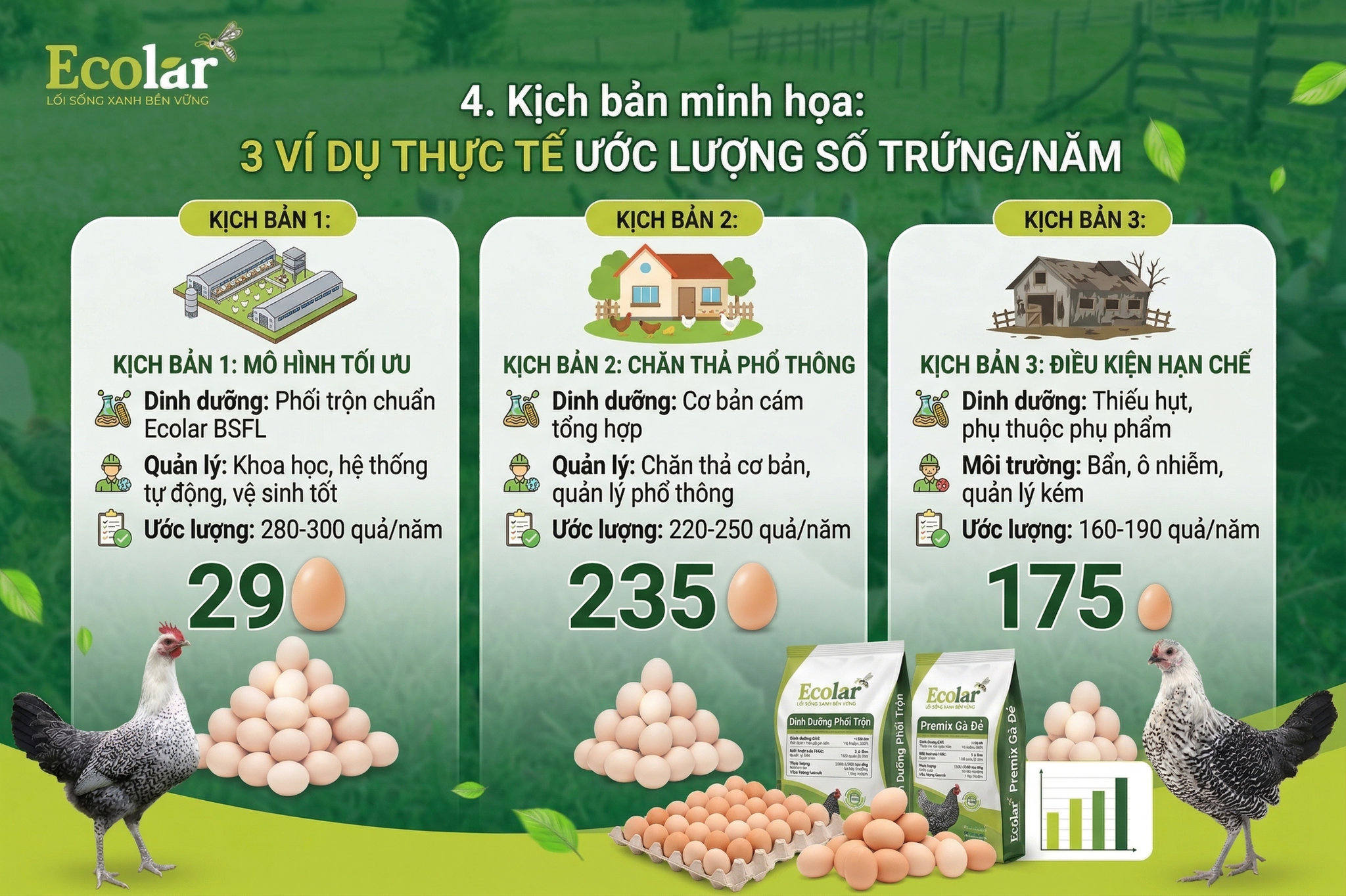 3 ví dụ thực tế ước lượng số trứng/năm