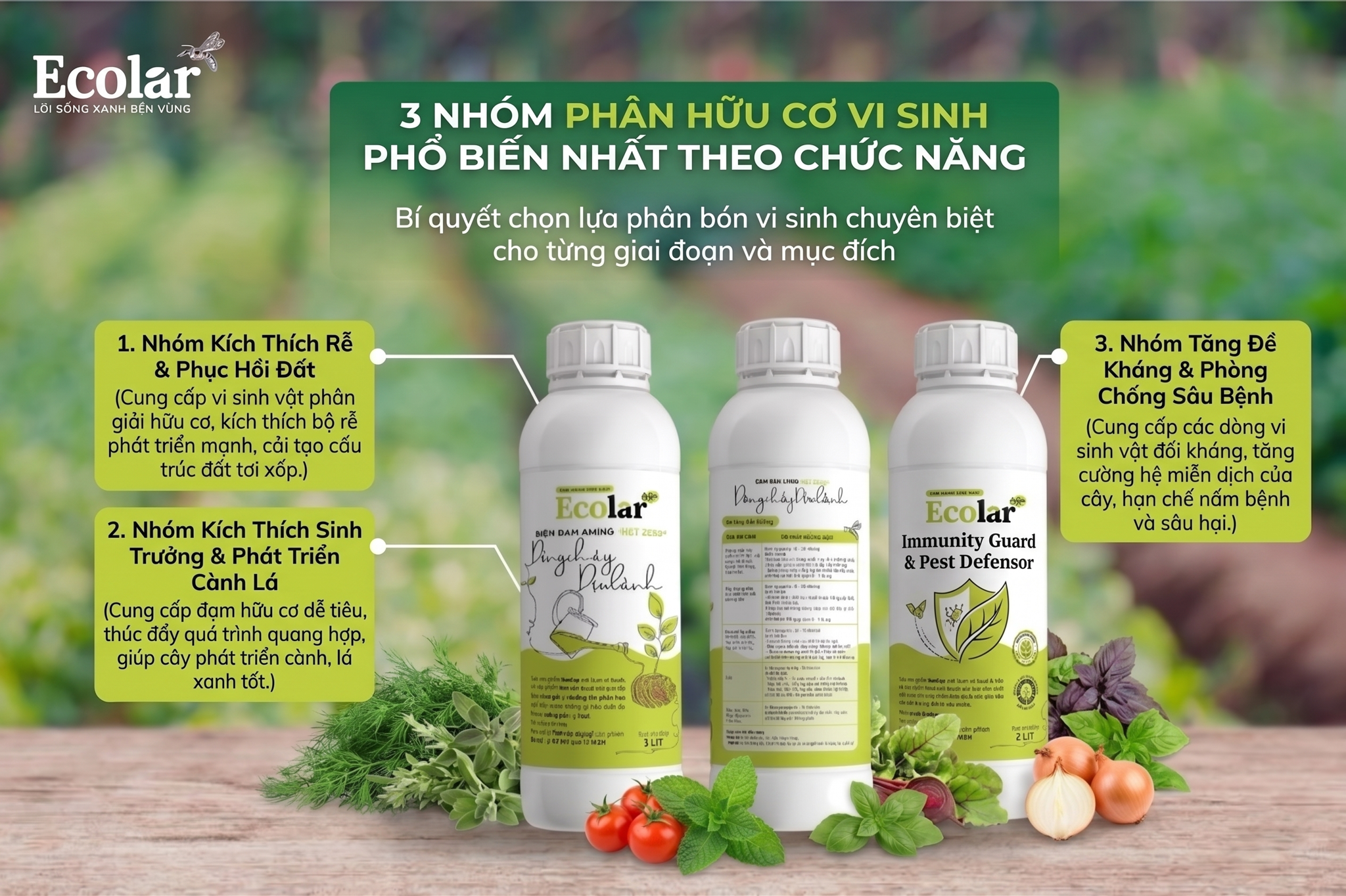 Phân Tích 3 Nhóm Phân Hữu Cơ Vi Sinh Phổ Biến Nhất Theo Chức Năng