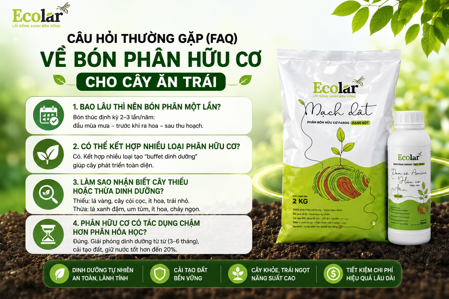 Câu Hỏi Thường Gặp (FAQ) Về Việc Bón Phân Hữu Cơ Cho Cây Ăn Trái