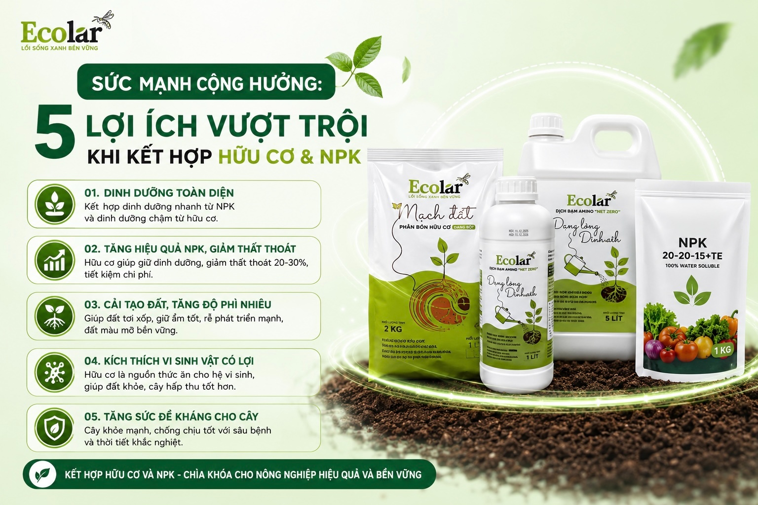 Sức Mạnh Cộng Hưởng: 5 Lợi Ích Vượt Trội Khi Kết Hợp Hữu Cơ và NPK