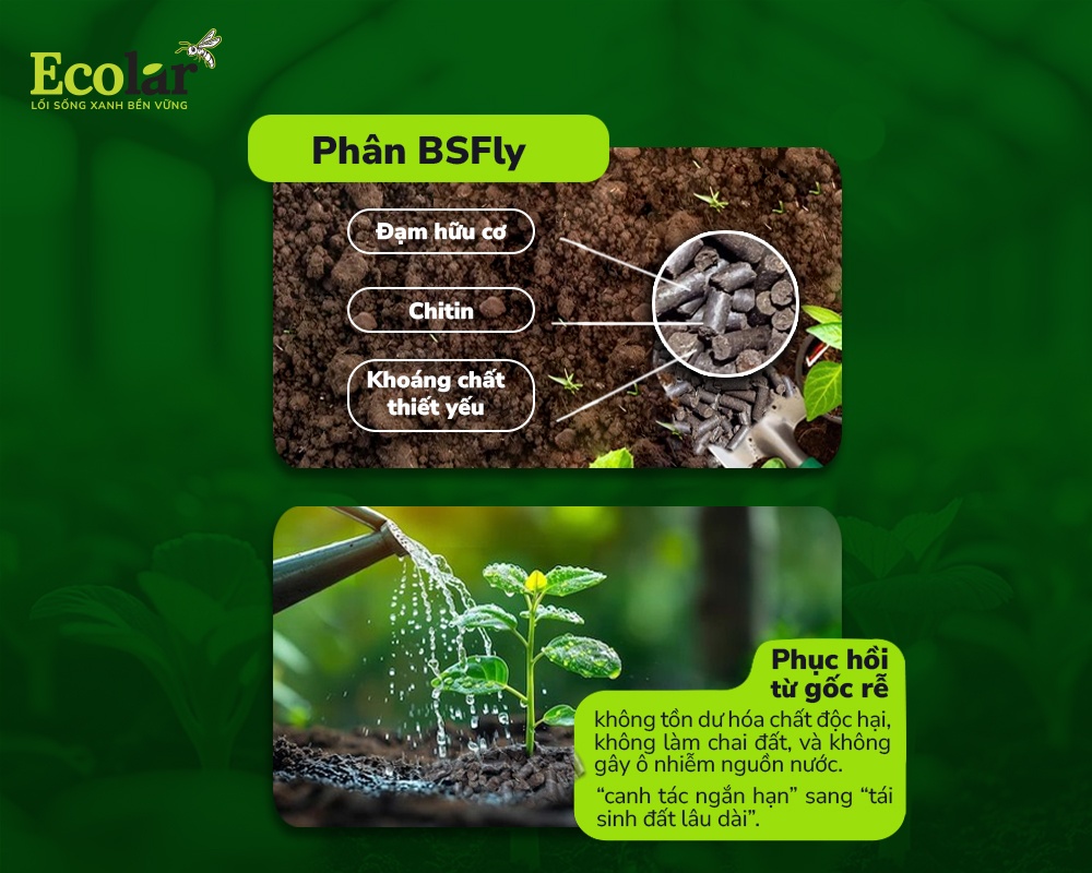 giai-phap-phuc-hoi-tu-goc-re