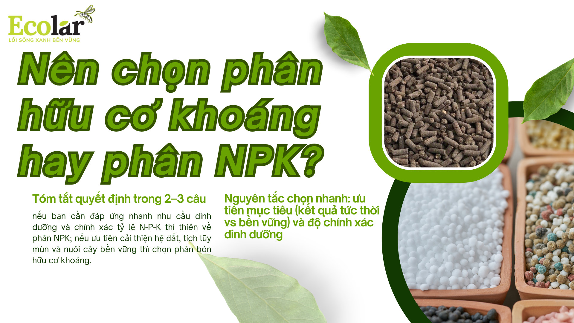 1. Nen-chon-phan-khoang-hay-NPK