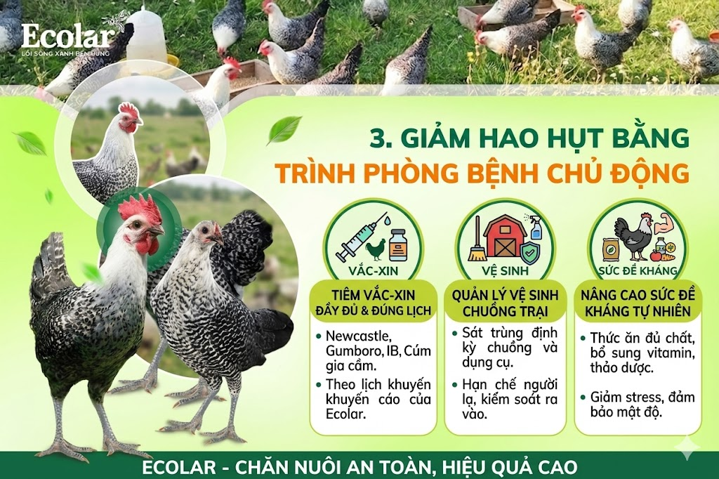 Giảm hao hụt bằng chương trình phòng bệnh chủ động