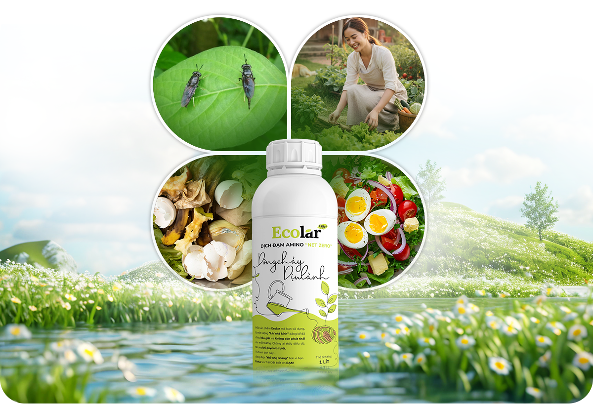 quy trình sản xuất