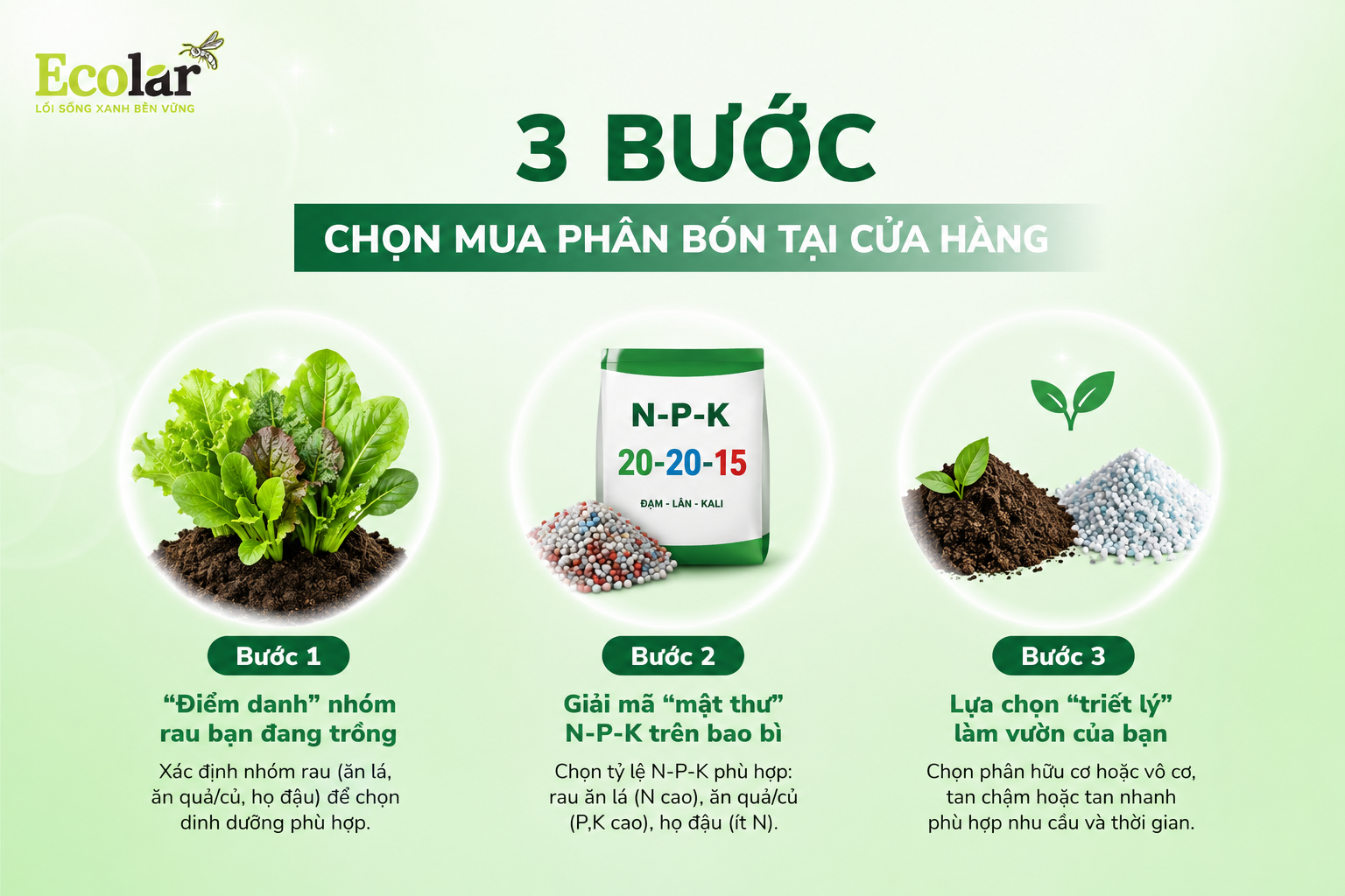 Từ Lý Thuyết Đến Thực Hành: 3 Bước Chọn Mua Phân Bón Tại Cửa Hàng