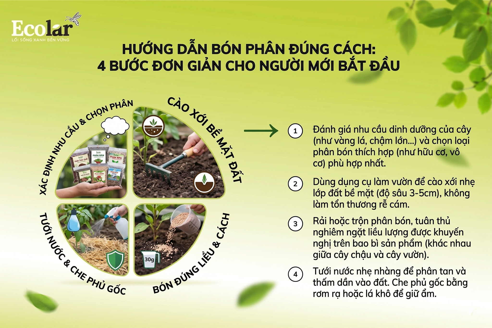 Hướng Dẫn Bón Phân Đúng Cách: 4 Bước Đơn Giản Cho Người Mới Bắt Đầu