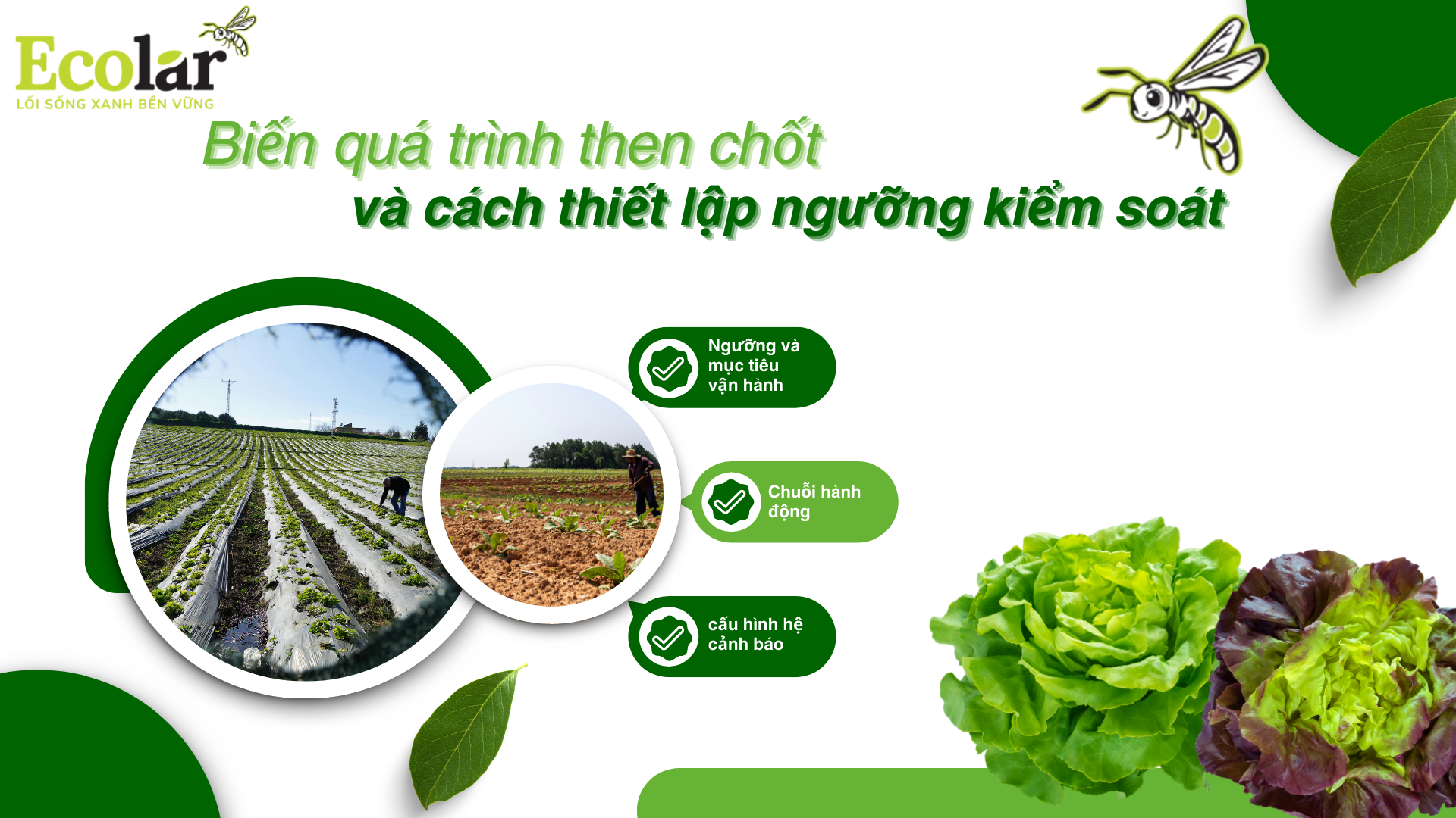 5-cách-thiet-lap-nguong-kiem-soat