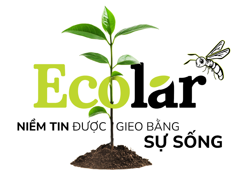 niềm tin thật không cần kêu gọi