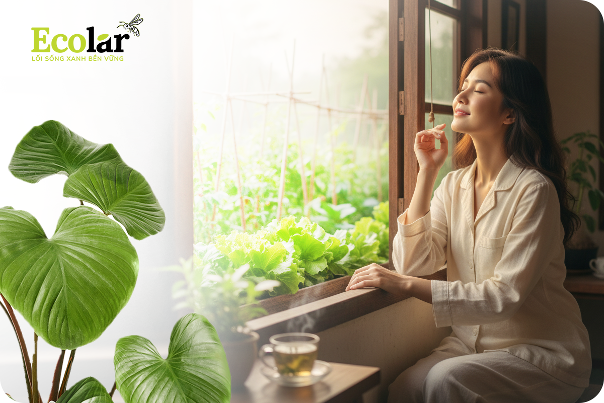 Lợi ích tinh thần của Ecolar