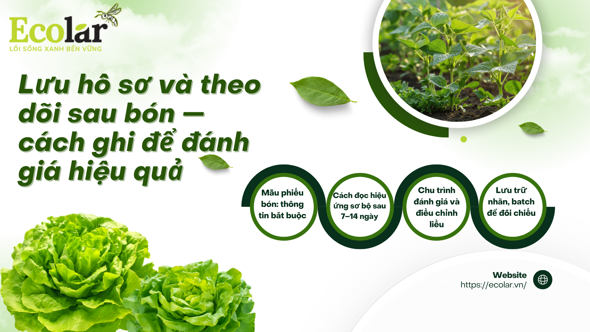 7-luu-ho-so-va-theo-doi-sau-bon