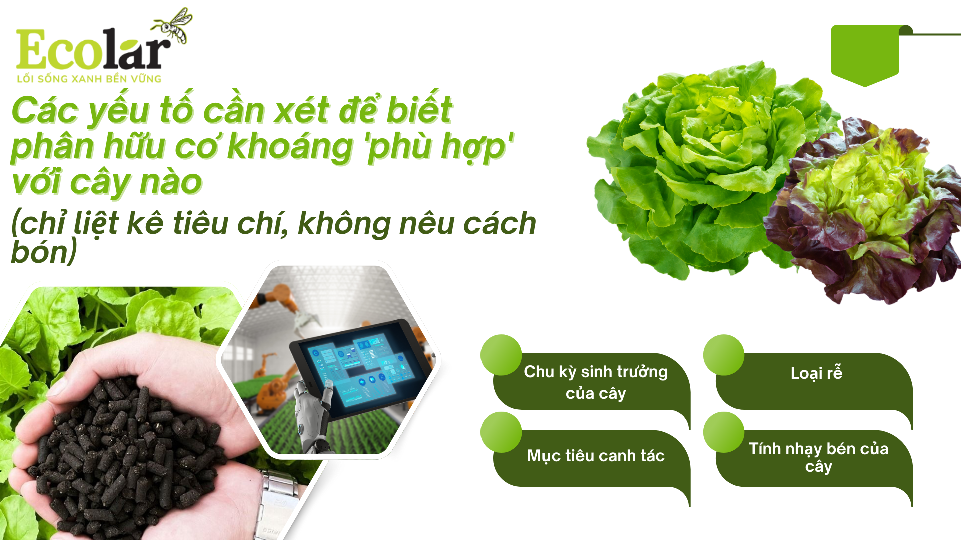 8 -cac-yeu-to-can-xet