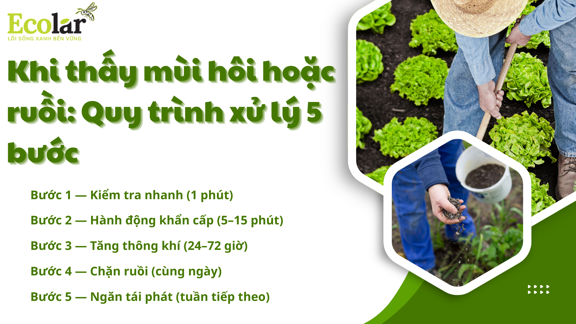 9-khi-thay-mui-hoi-hoac-ruoi