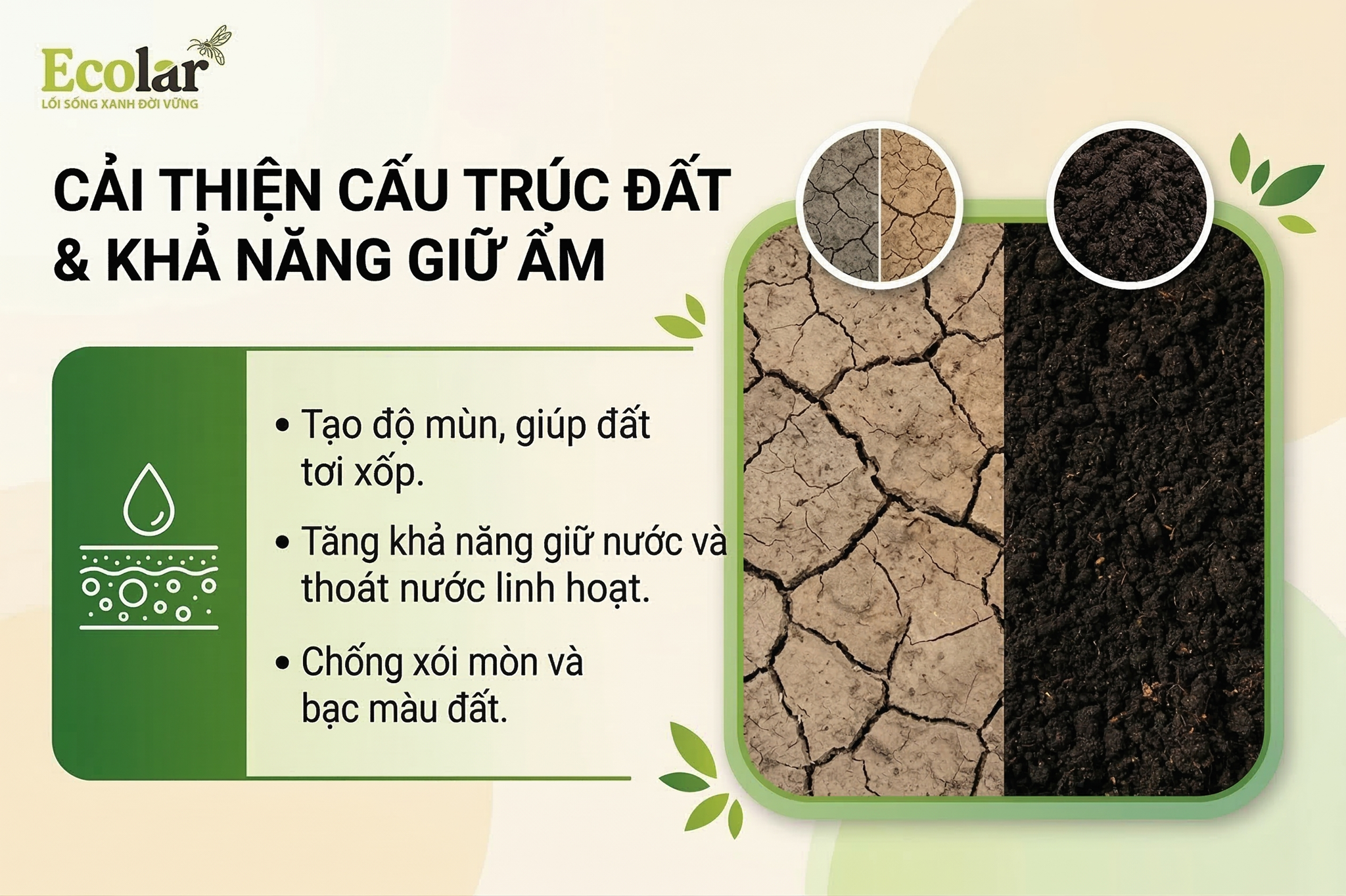 Các yếu tố môi trường điều chỉnh cơ chế