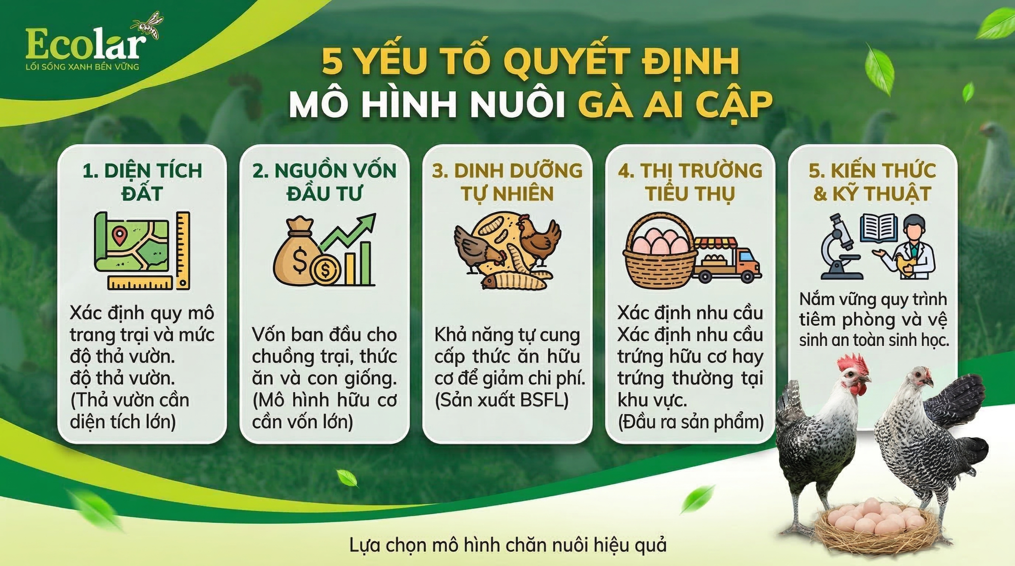 5 yếu tố quyết định bạn nên chọn mô hình nào