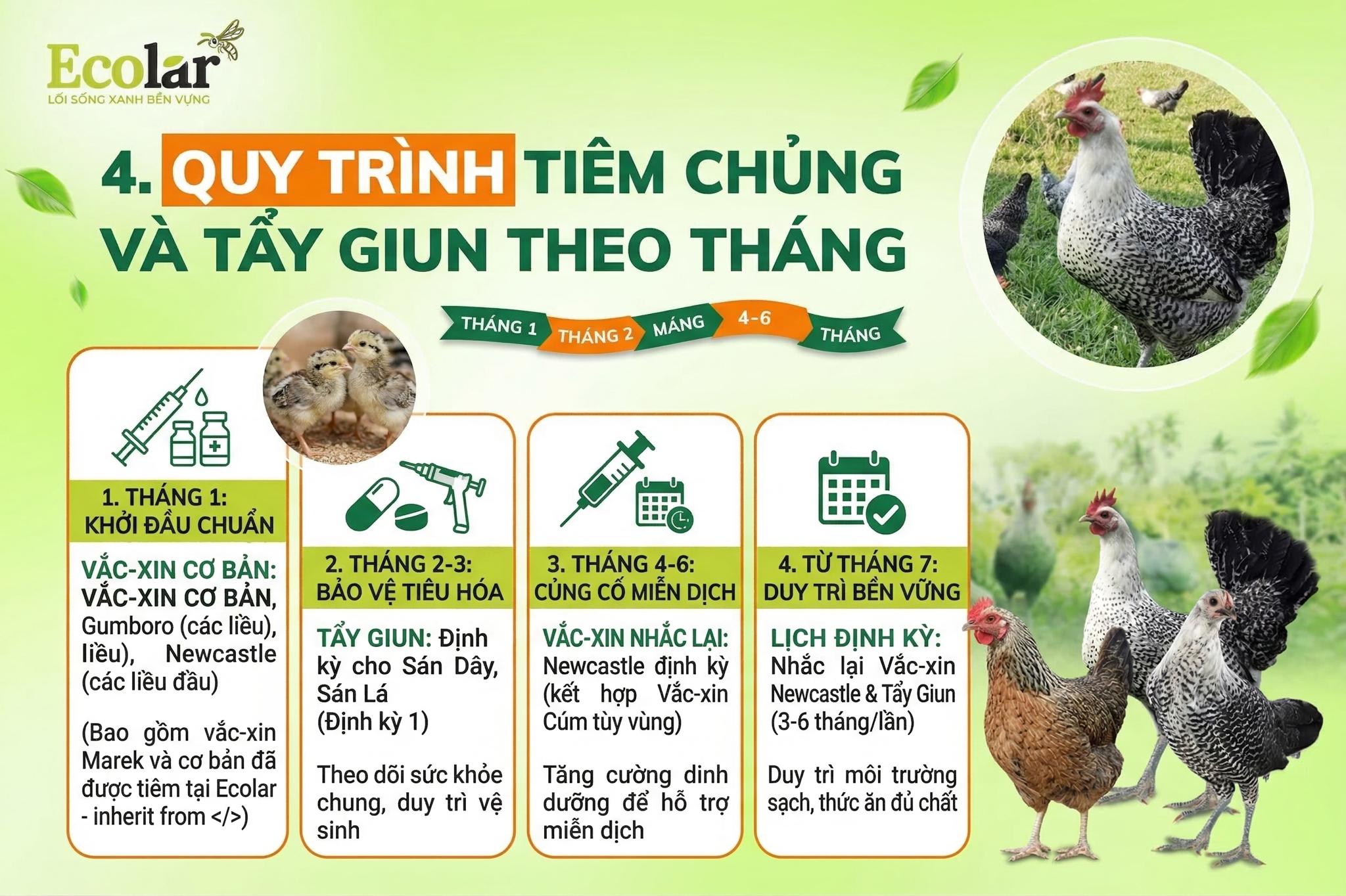 Quy trình tiêm chủng và tẩy giun theo tháng