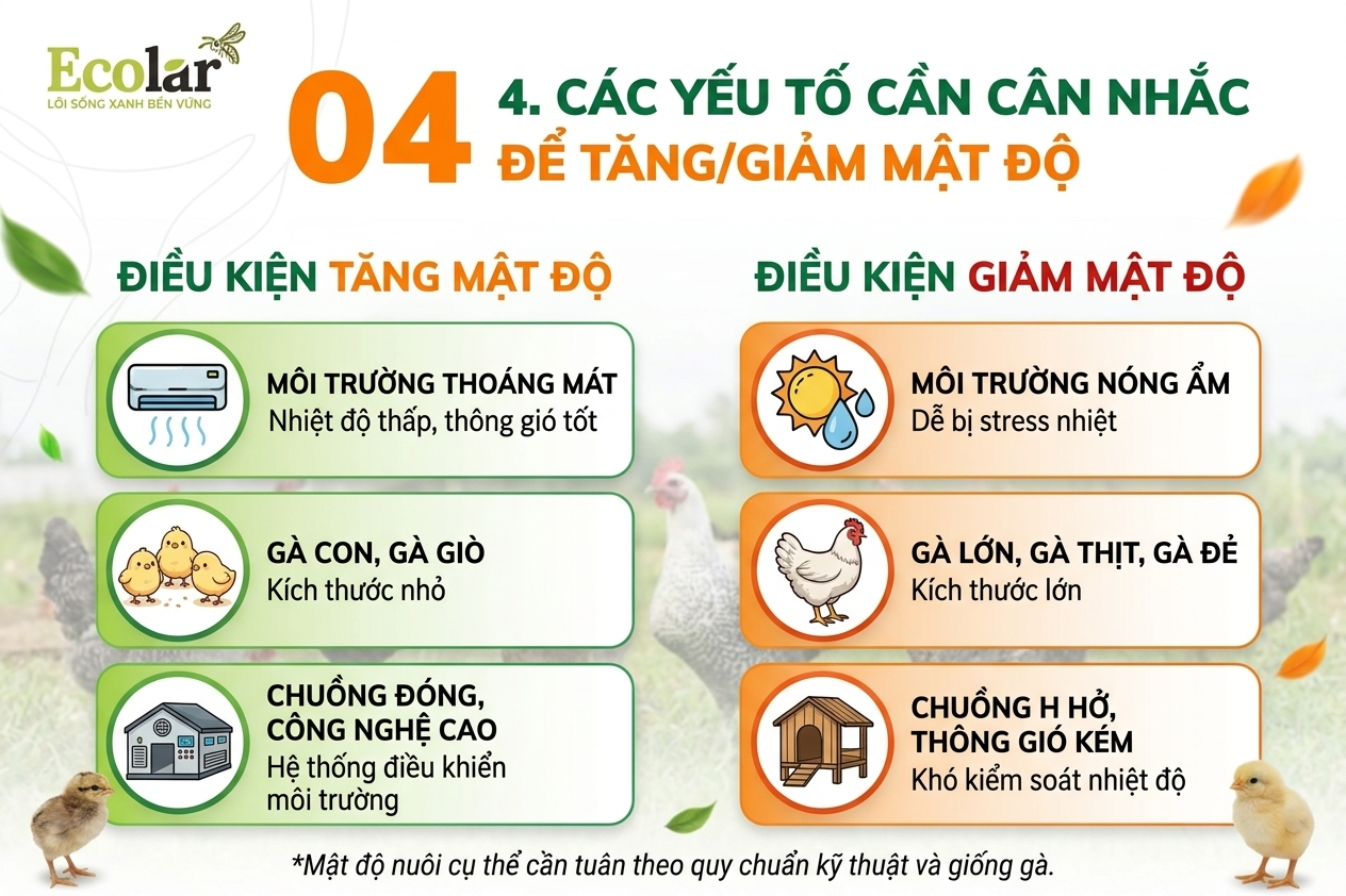 Các yếu tố cần cân nhắc để tăng/giảm mật độ