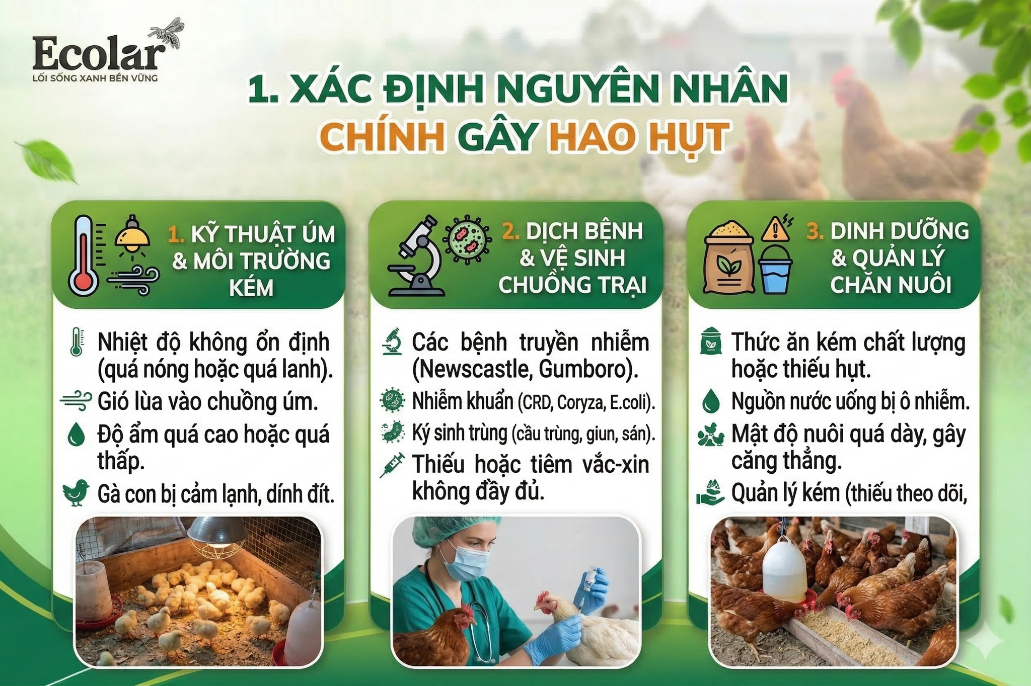 Xác định nguyên nhân chính gây hao hụt