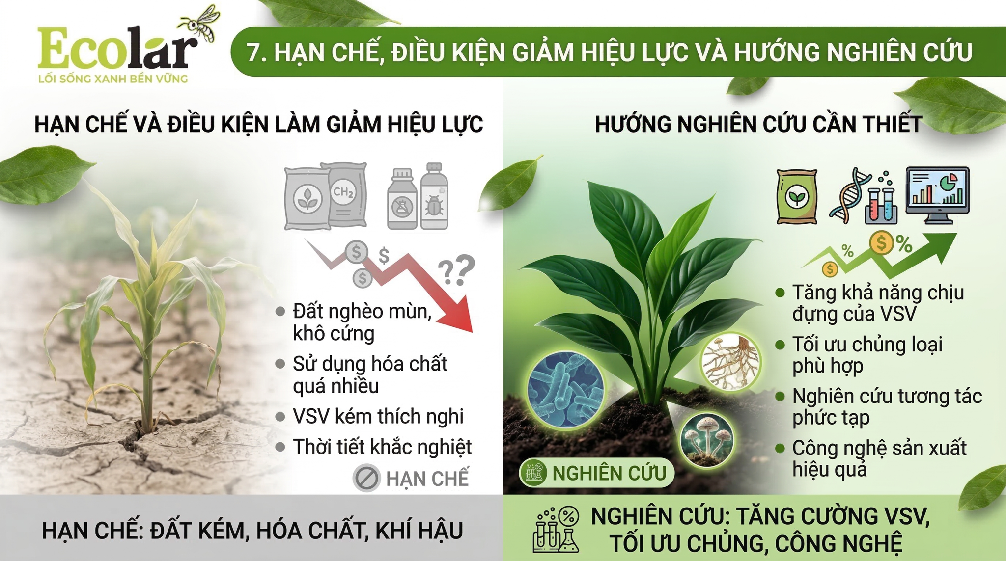 Hạn chế, điều kiện làm giảm hiệu lực vai trò và hướng nghiên cứu cần thiết