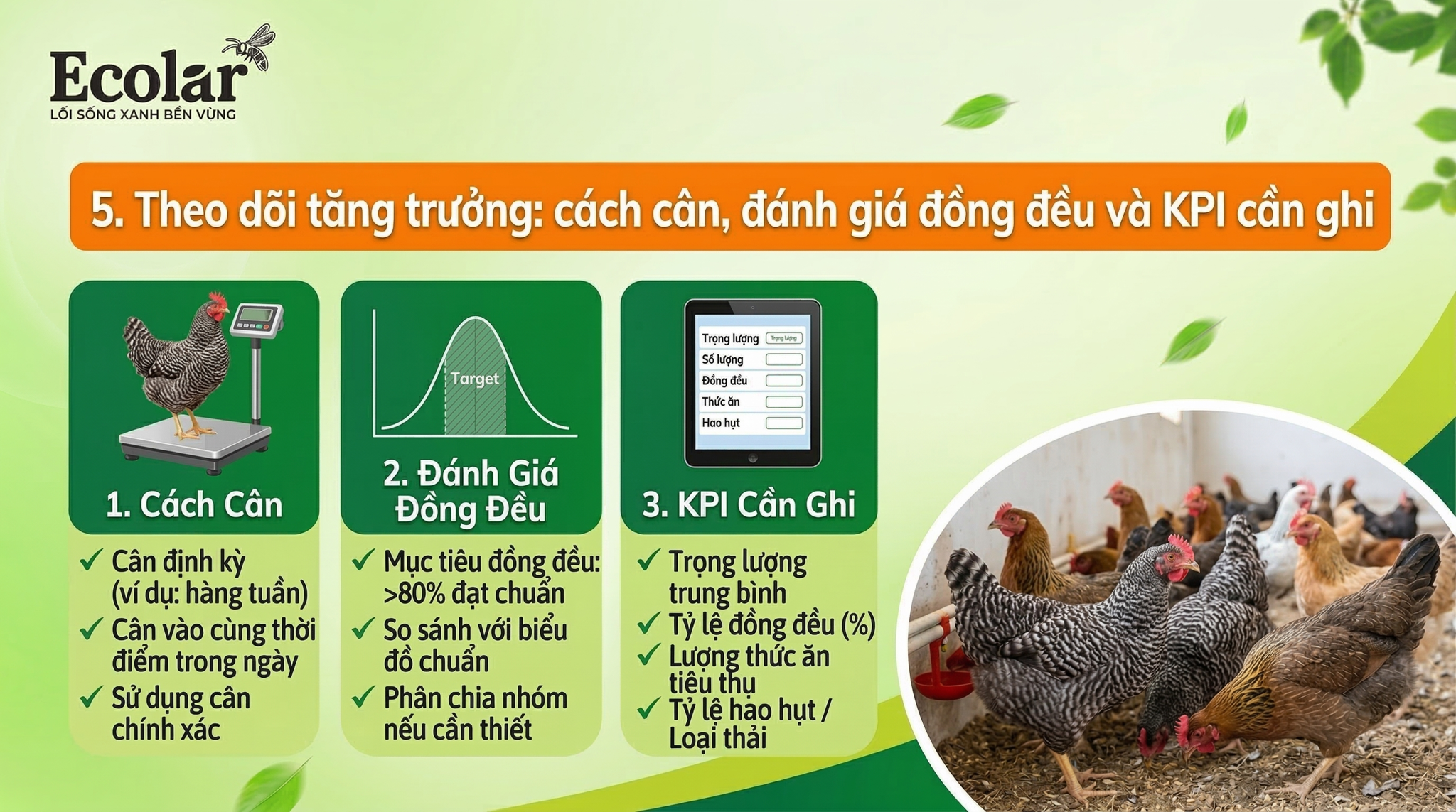 Theo dõi tăng trưởng: cách cân, đánh giá đồng đều và KPI cần ghi