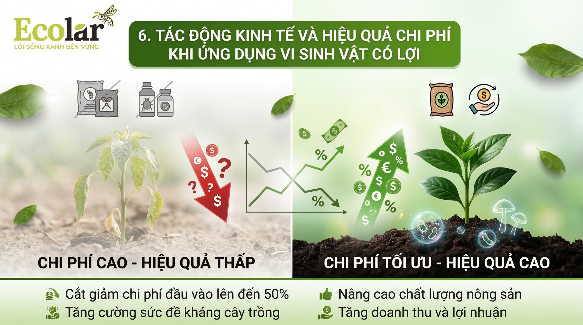 Tác động kinh tế và hiệu quả chi phí khi ứng dụng vi sinh vật có lợi