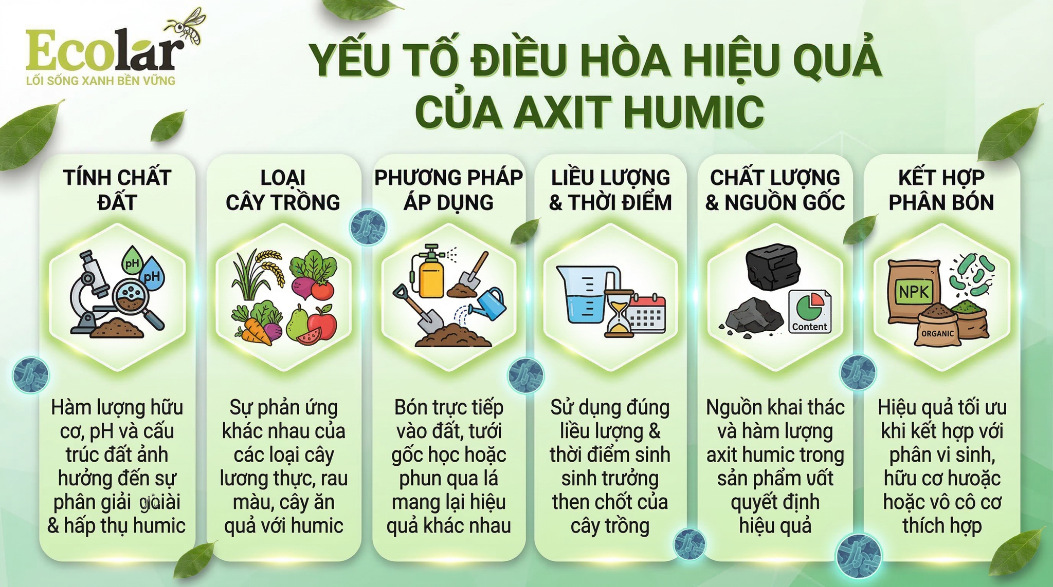 Yếu tố điều hòa hiệu quả humic trên năng suất