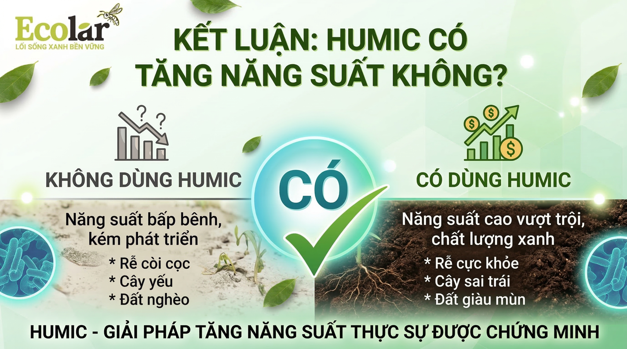 Tóm tắt kết luận bằng chứng