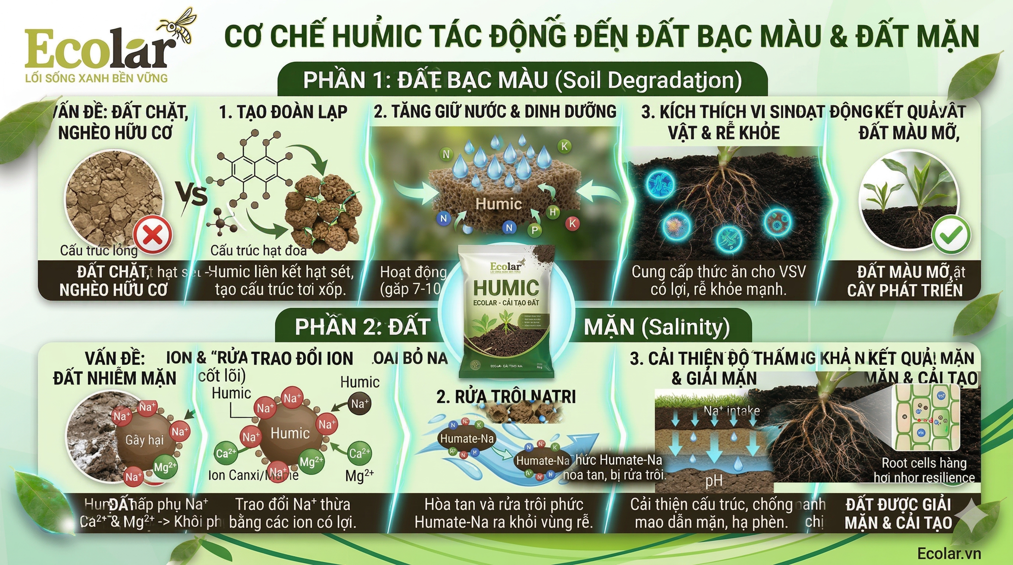 Humic tác động đến các vấn đề đất bạc màu và đất mặn như thế nào