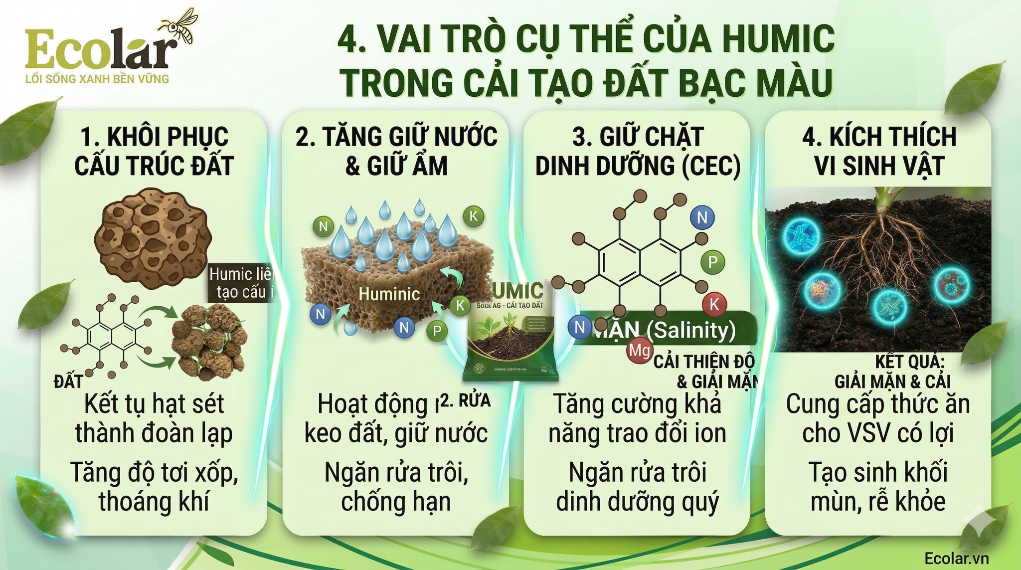 Vai trò cụ thể của humic trong cải tạo đất bạc màu
