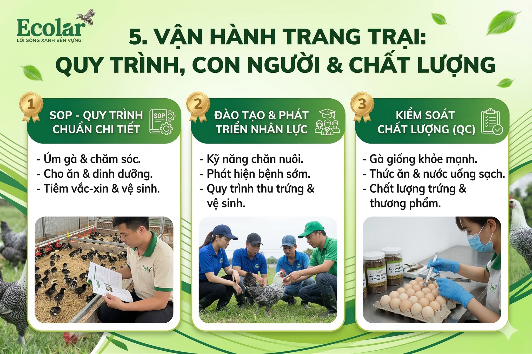 Vận hành trang trại