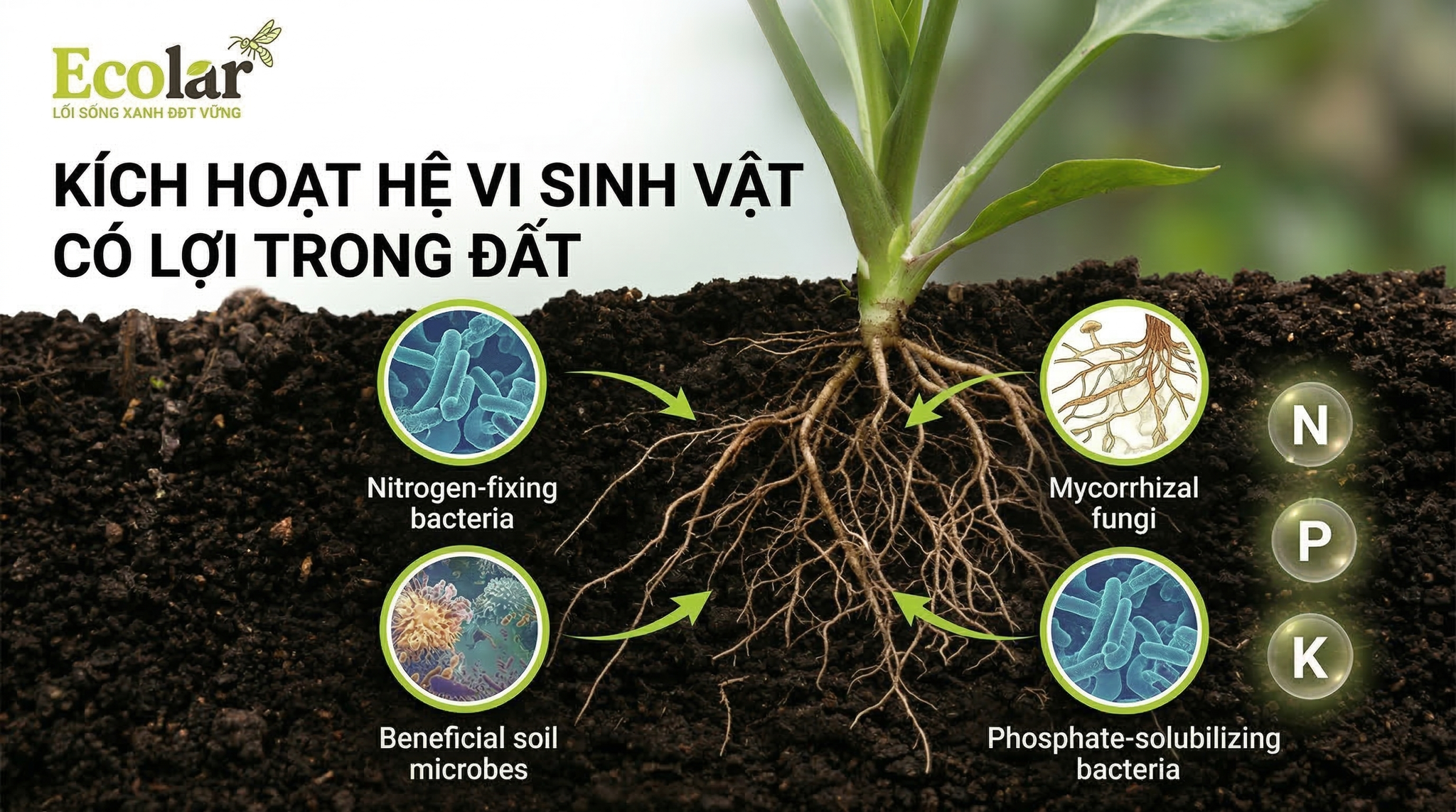 Cơ chế vật lý