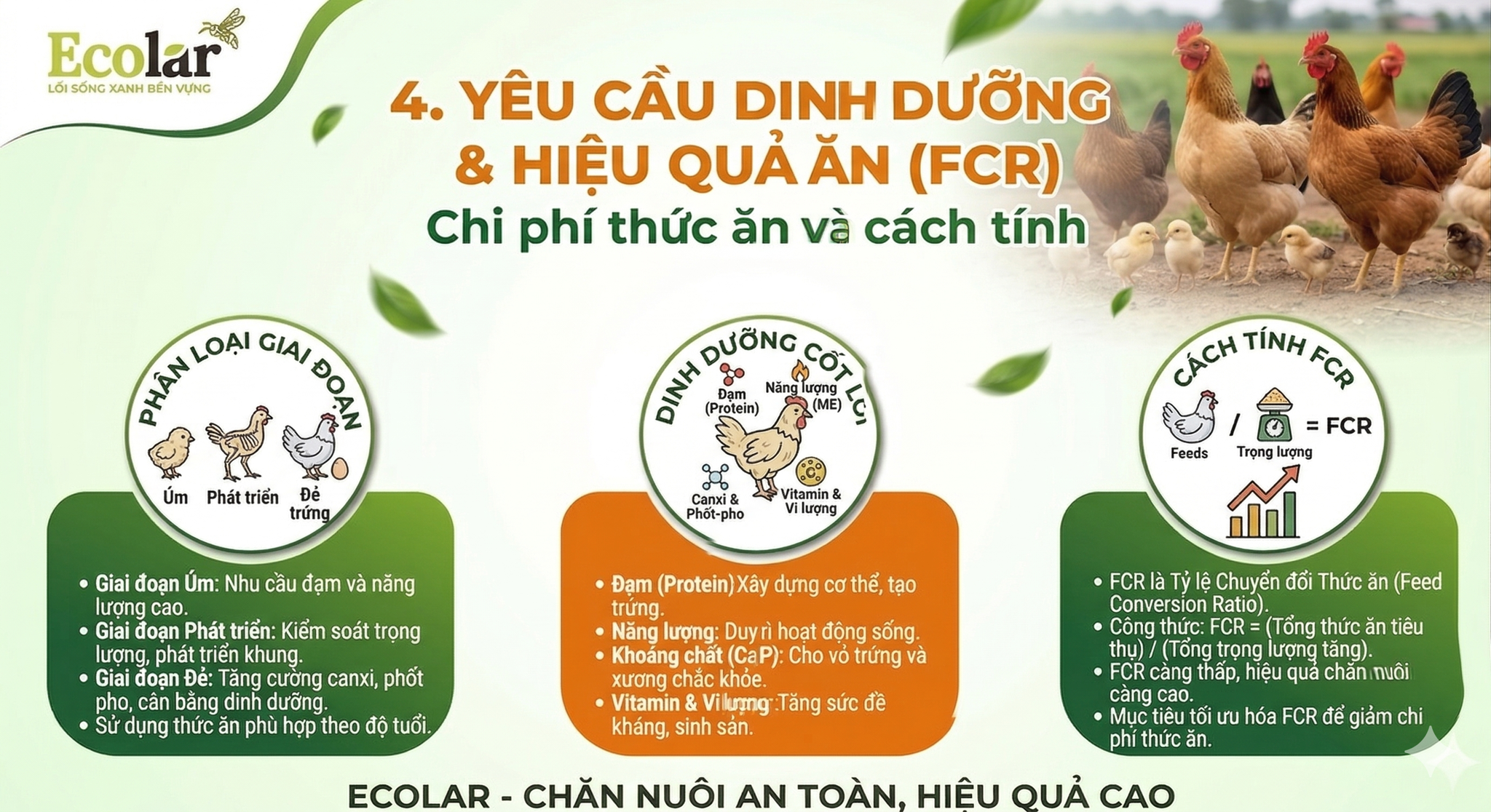 a-an-fcr-chi-phi-thuc-an-va-cach-tinh_f852f8e9be3b45dabf7b9b212915b2aa.png