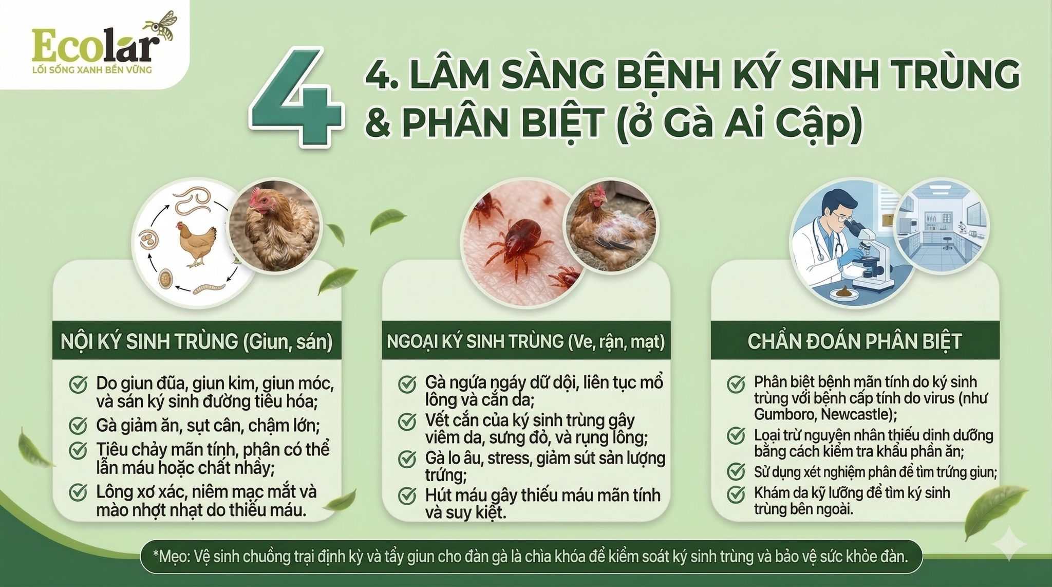 a-cach-phan-biet-voi-nguyen-nhan-khac_00b3910575174048b4c29a98ca5845b1.png