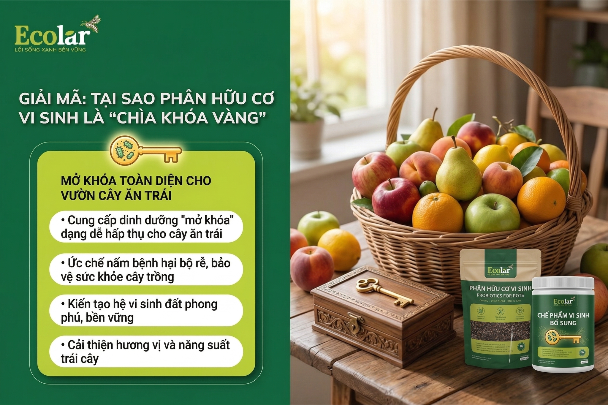 Tại Sao Phân Hữu Cơ Vi Sinh Là 'Chìa Khóa Vàng' Cho Vườn Cây Ăn Trái?