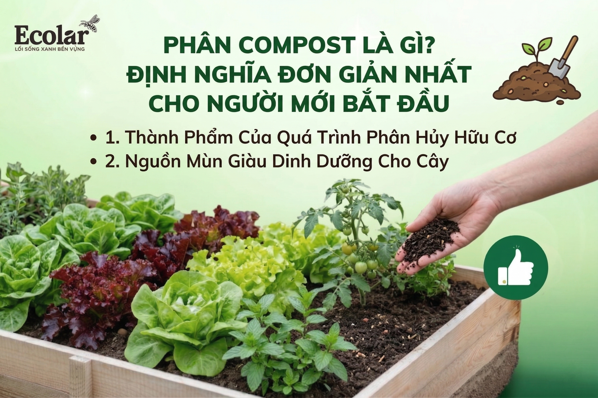 Phân Compost Là Gì? Định Nghĩa Đơn Giản Nhất Cho Người Mới Bắt Đầu