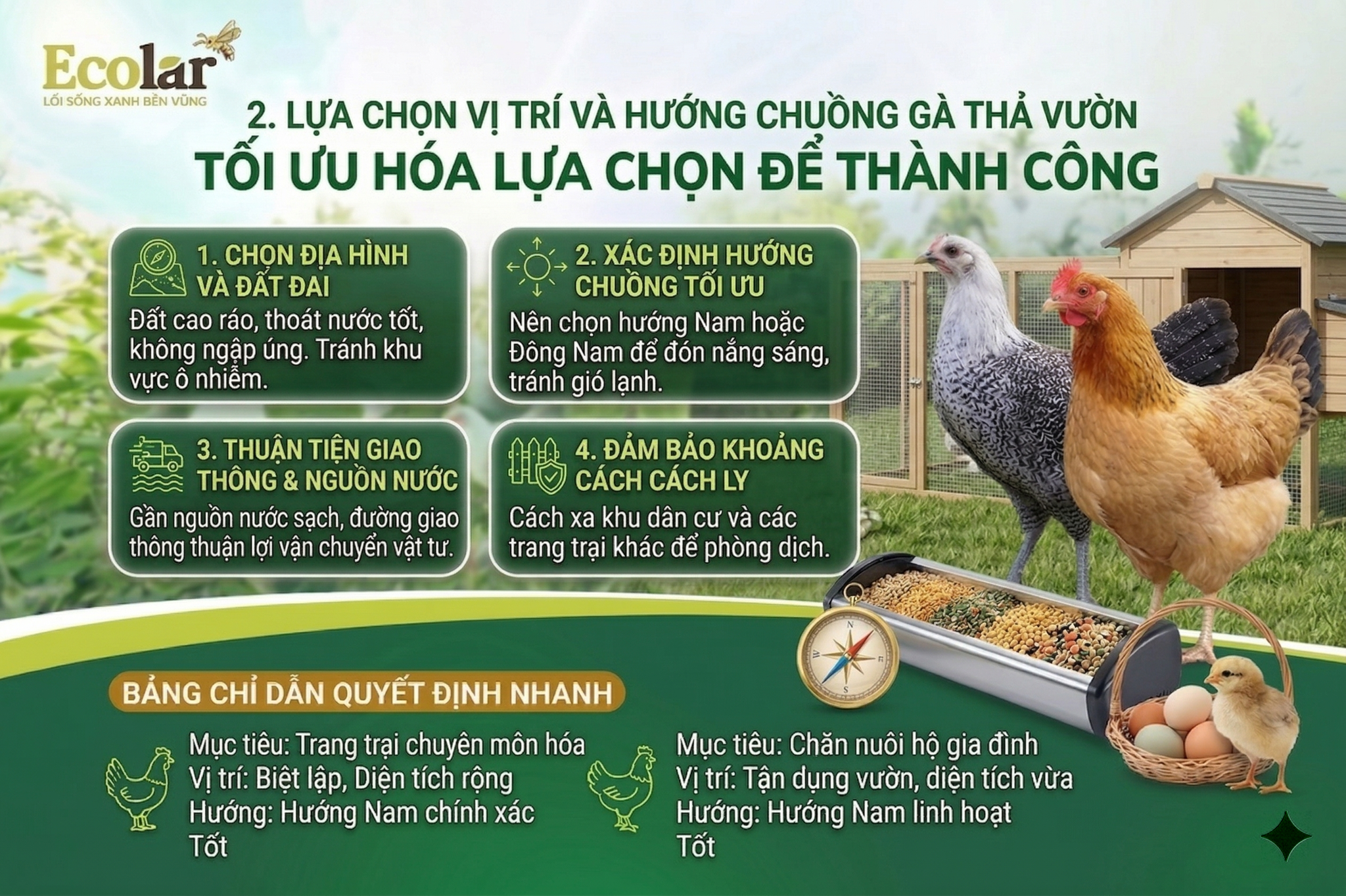 a-huong-chuong-cho-chuong-ga-tha-vuon_61bb40727158406792e1f348293d99ef.png