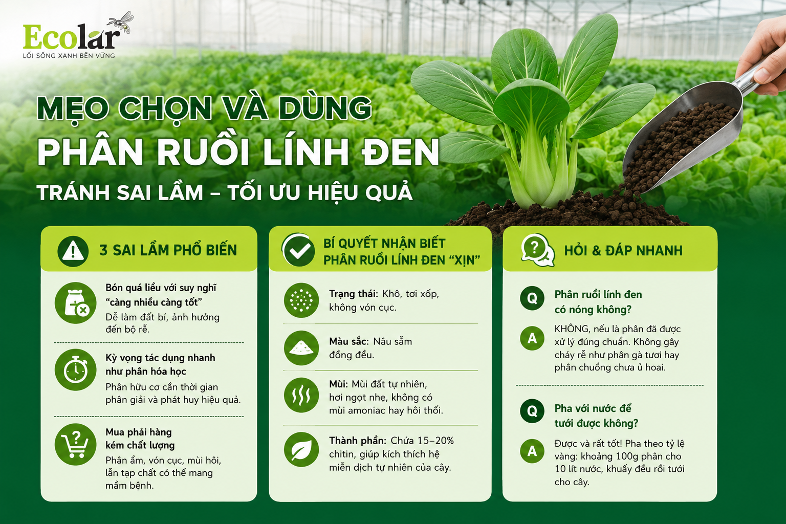 Tránh Sai Lầm, Tối Ưu Hiệu Quả: Mẹo Chọn và Dùng Phân Ruồi Lính Đen