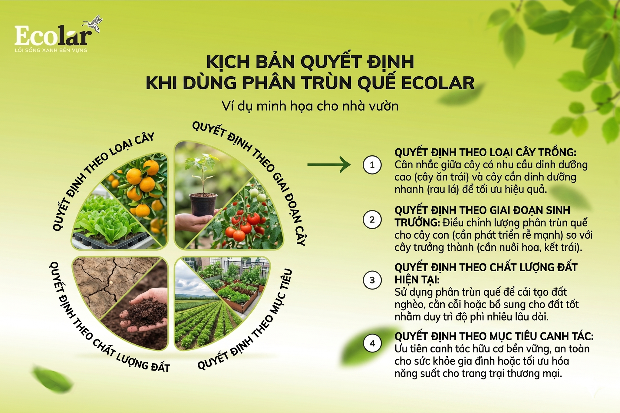 Kịch bản thực tế: ví dụ minh họa quyết định (không hướng dẫn cách làm)
