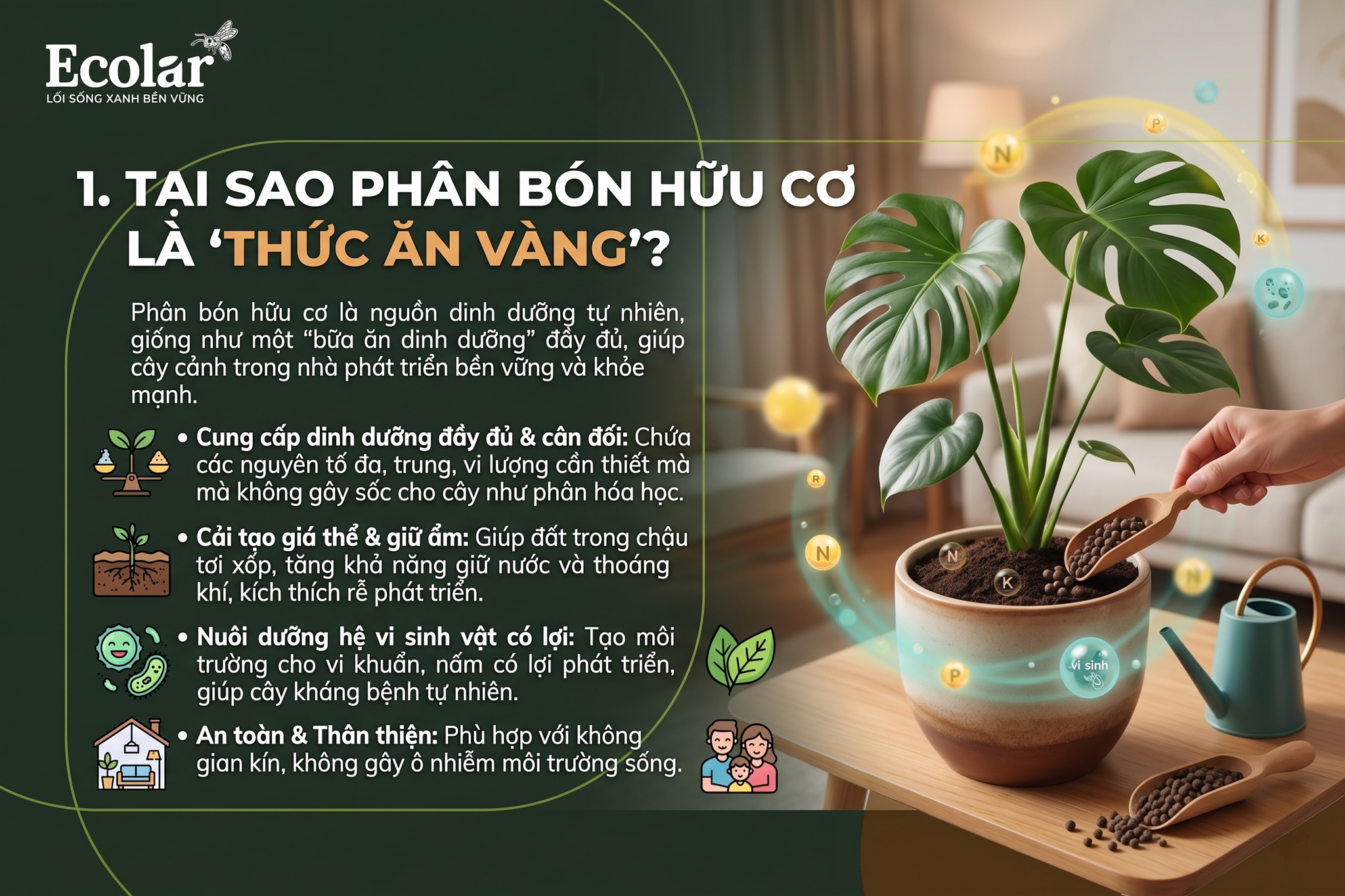 Tại Sao Phân Bón Hữu Cơ Là 'Thức Ăn Vàng' Cho Cây Cảnh Trong Nhà?